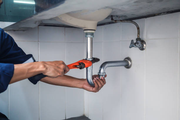 Best Clogged Drain Plumber  in Clton, IN